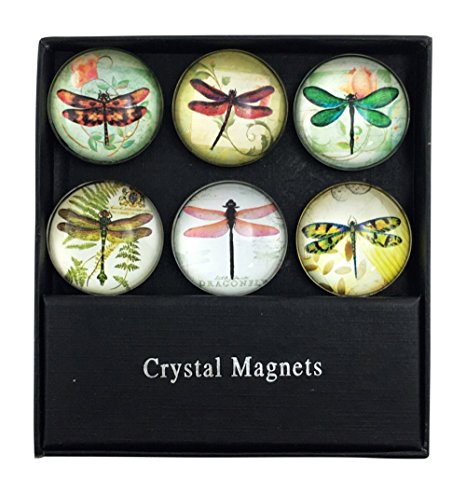 Assorted Dragonflies Glass Magnets - Set of 6