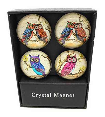 Funky Owl Print Glass Domed Magnets by Value Arts, Set of 4 Assorted