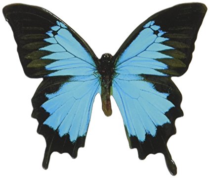 Paper House Productions M-0294E Die Cut Refrigerator Magnet, Mountain Blue Butterfly (6-Pack)