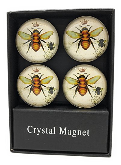 Honey Bee Glass Magnets - Set of 4